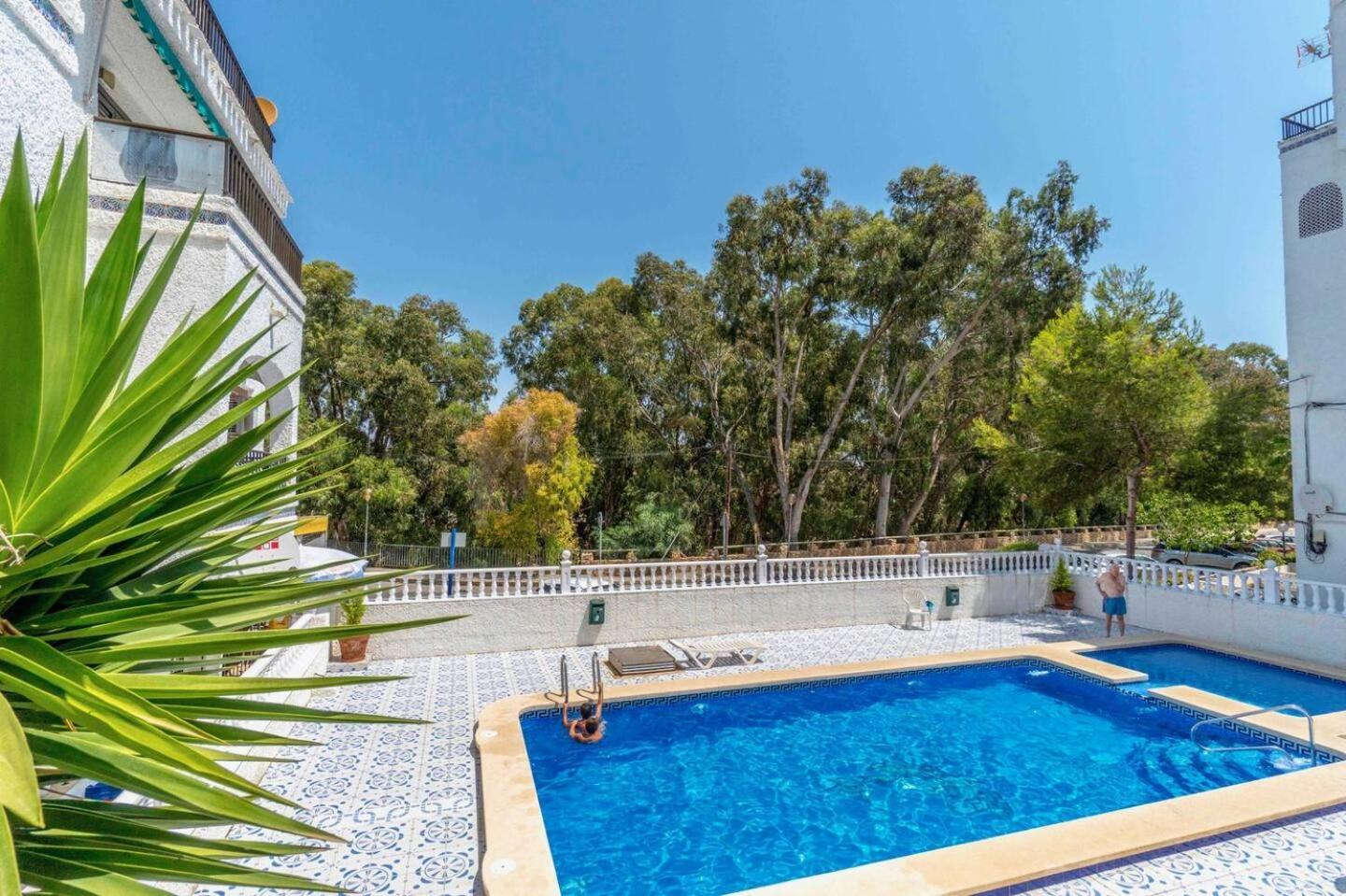 Playa Flamenca Splendid Apartment On The Beach Alicante Eksteriør bilde