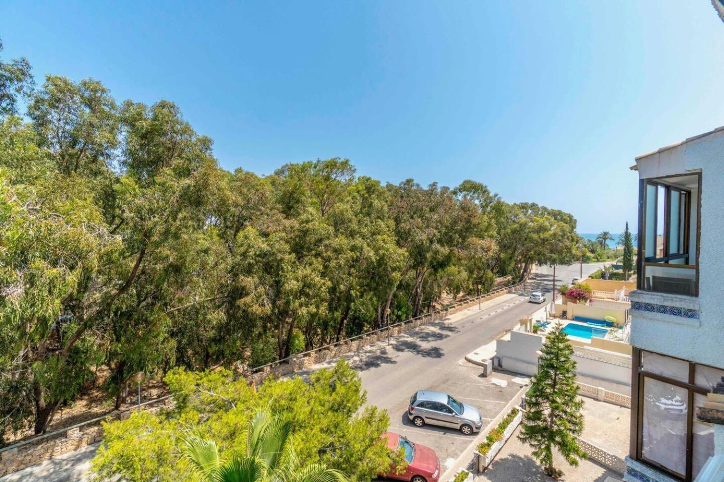 Playa Flamenca Splendid Apartment On The Beach Alicante Eksteriør bilde